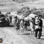 الهوية الفلسطينية: معركة صامتة على الذاكرة وحق الرواية