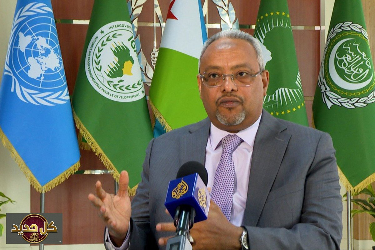 أمن باب المندب: جيبوتي تؤكد دورها المحوري وتدعو لإنهاء حرب السودان