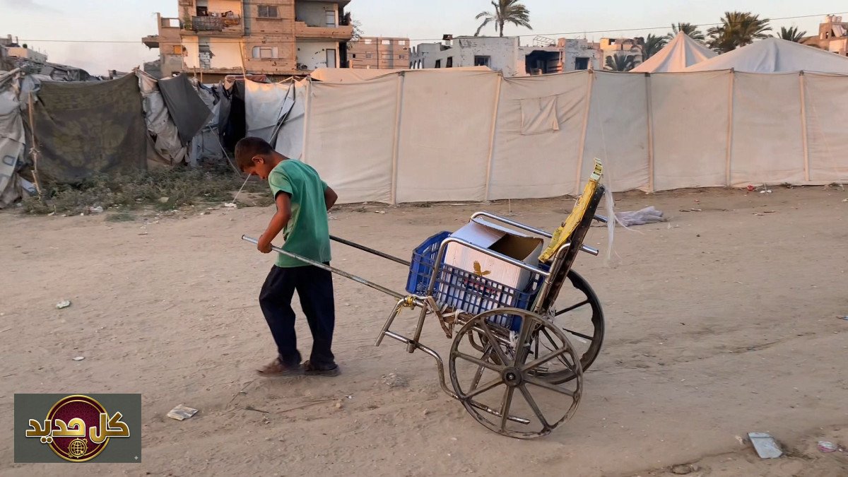 عمالة أطفال غزة: كيف حولت حرب الإبادة براءة الطفولة إلى كدح مبكر