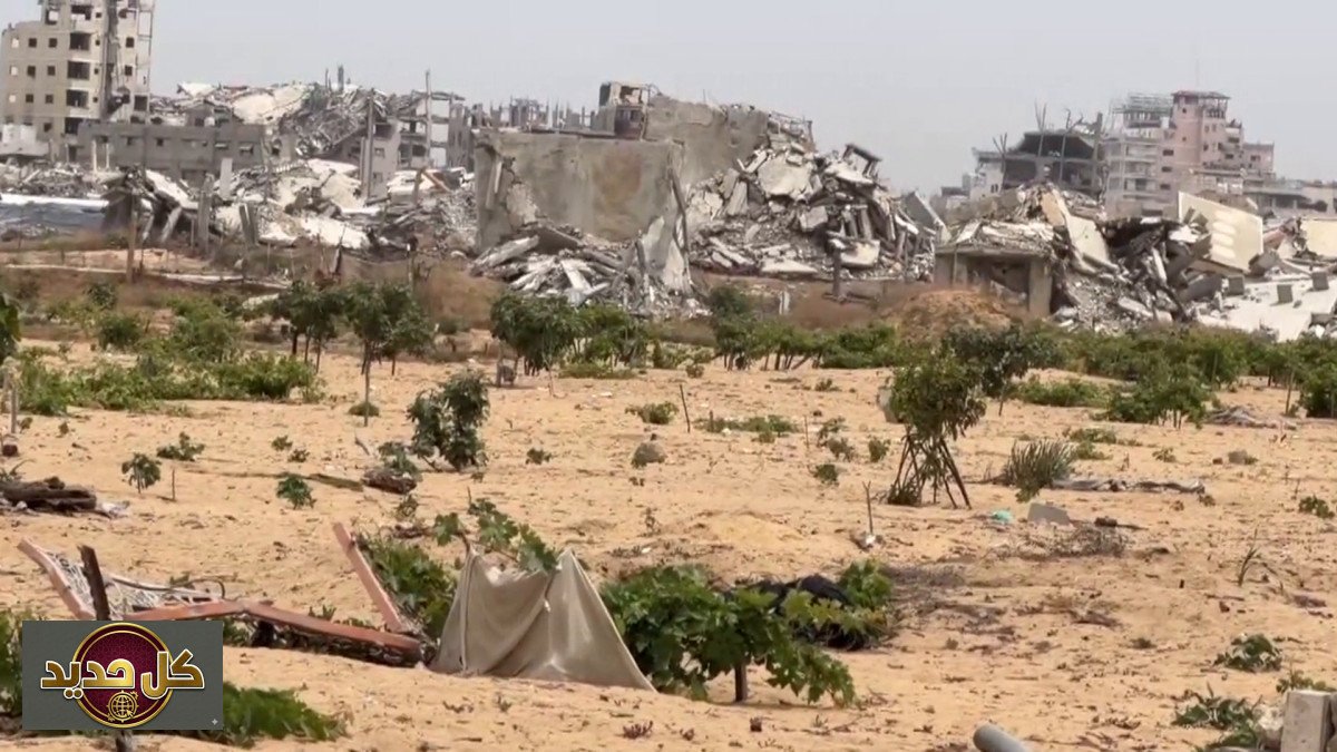 تدمير الزراعة في غزة: 4 ملايين شجرة تكشف أبعاد "هندسة الجوع"