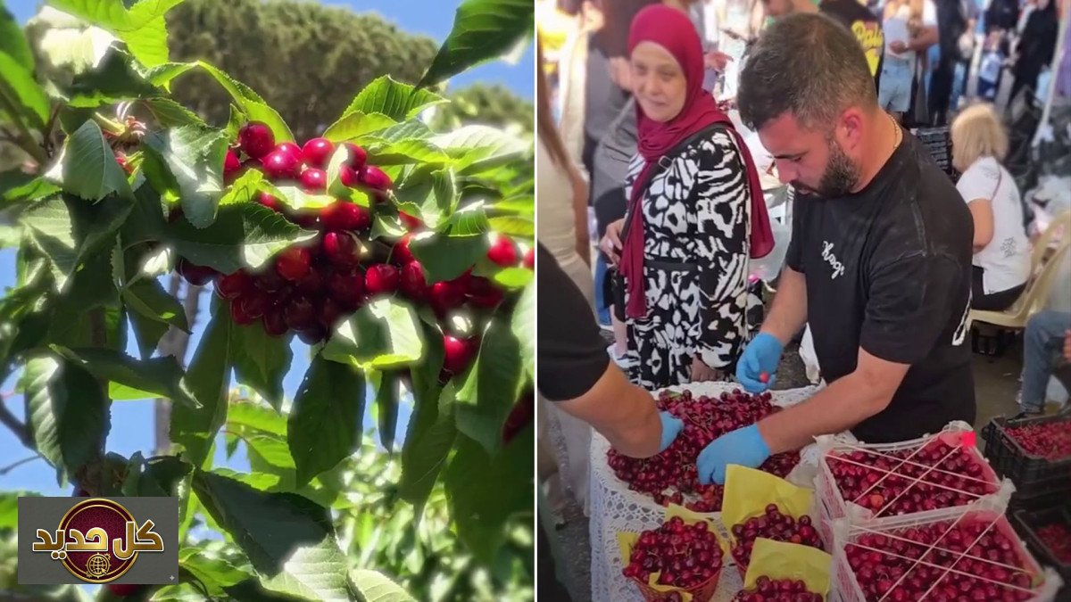 مهرجان كرز حمانا يضيء الأمل للعائلات النازحة ويجمع اللبنانيين
