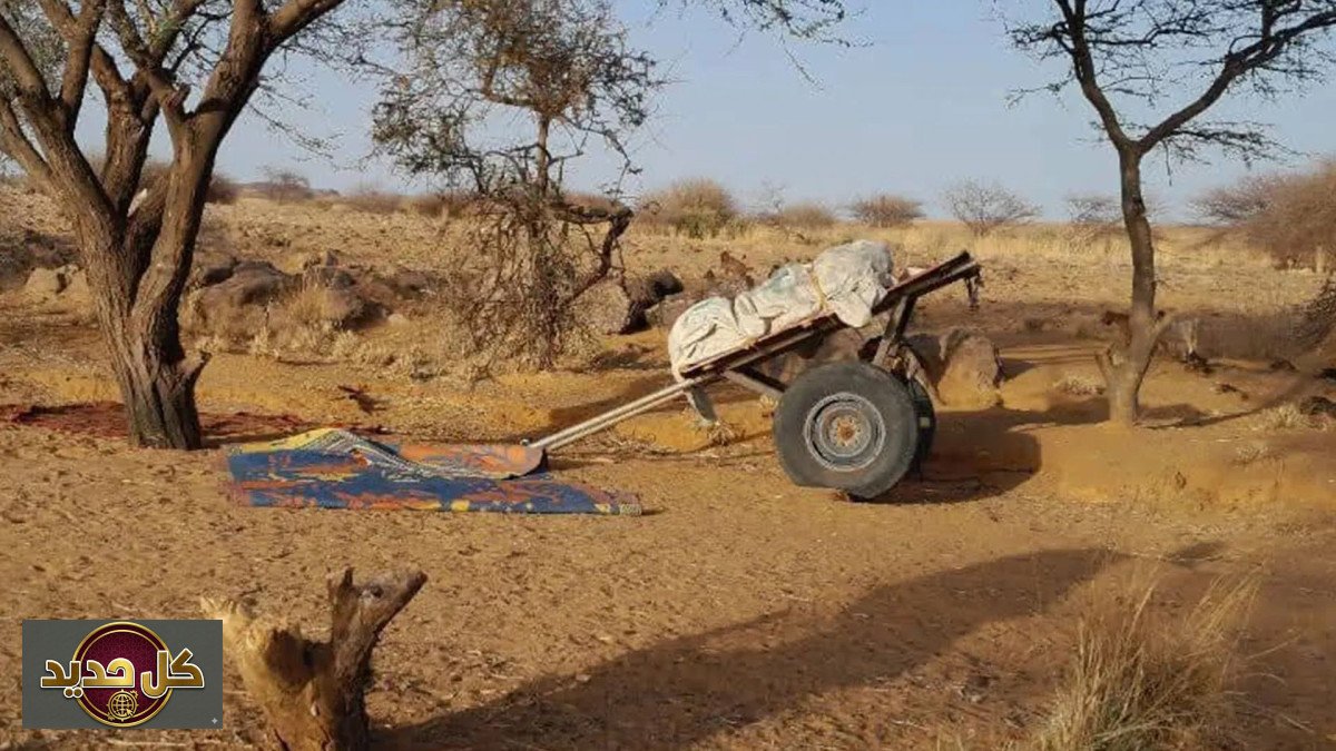 نازحو أورشي: أسبوع من الجحيم في العراء بين الجوع والعطش بالسودان