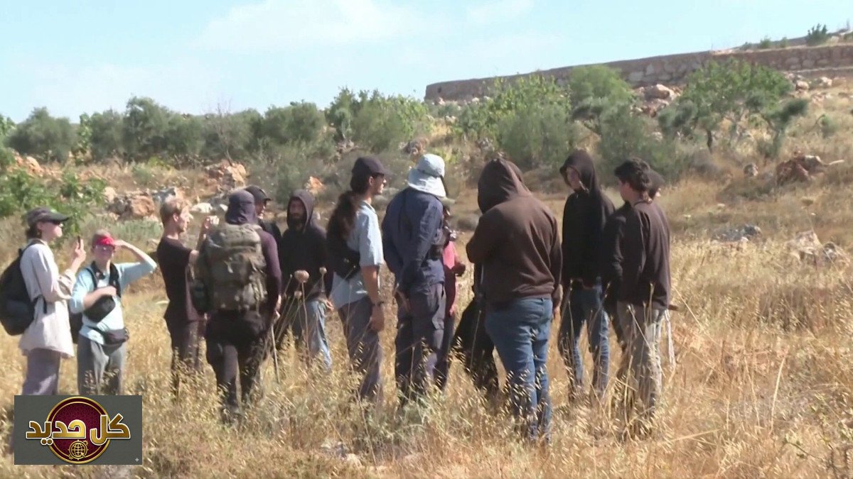 هجوم مستوطنين أبو فلاح: الجزيرة توثق اعتداءات على مزارعين ومتضامنين