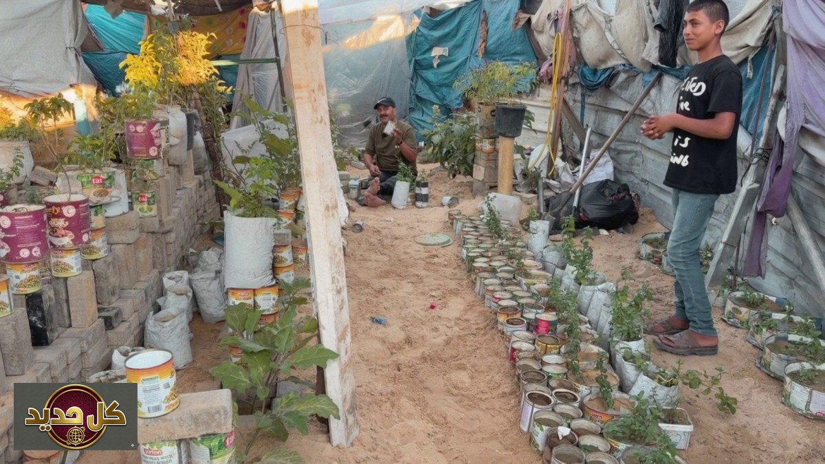 إعادة تدوير العلب: فلسطيني يحوّل بقايا المساعدات إلى مزارع صغيرة في غزة