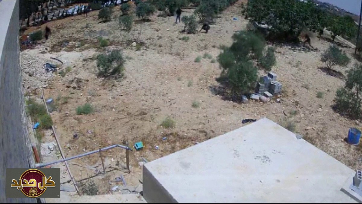 عنف المستوطنين يتصاعد: هجمات متكررة في الضفة الغربية تستهدف الفلسطينيين