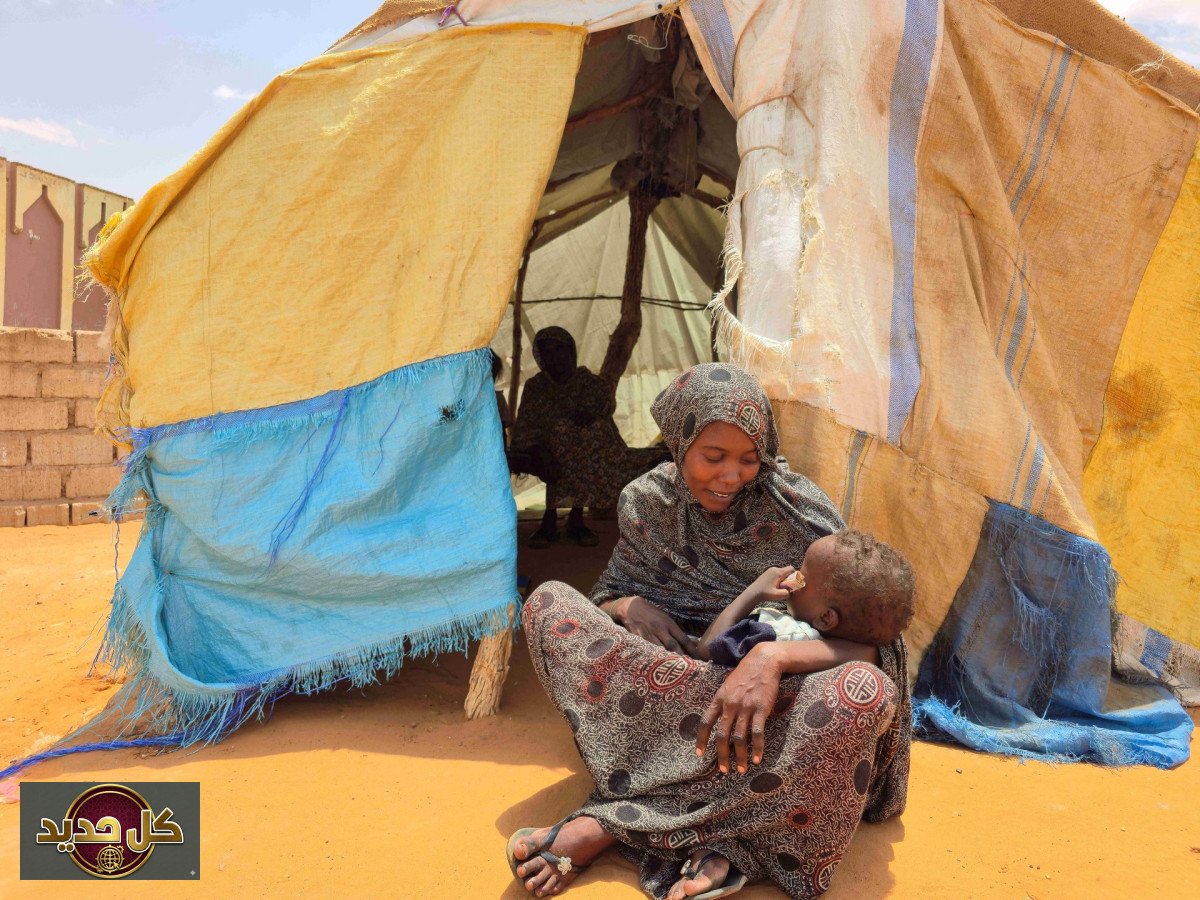 كارثة إنسانية السودان: تحذيرات من وضع مأساوي يهدد 200 ألف في شمال كردفان