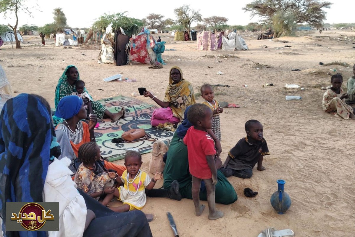 تقدم الجيش السوداني الجنينة: الأبعاد الاستراتيجية بعد استعادة بئر أم سليبة