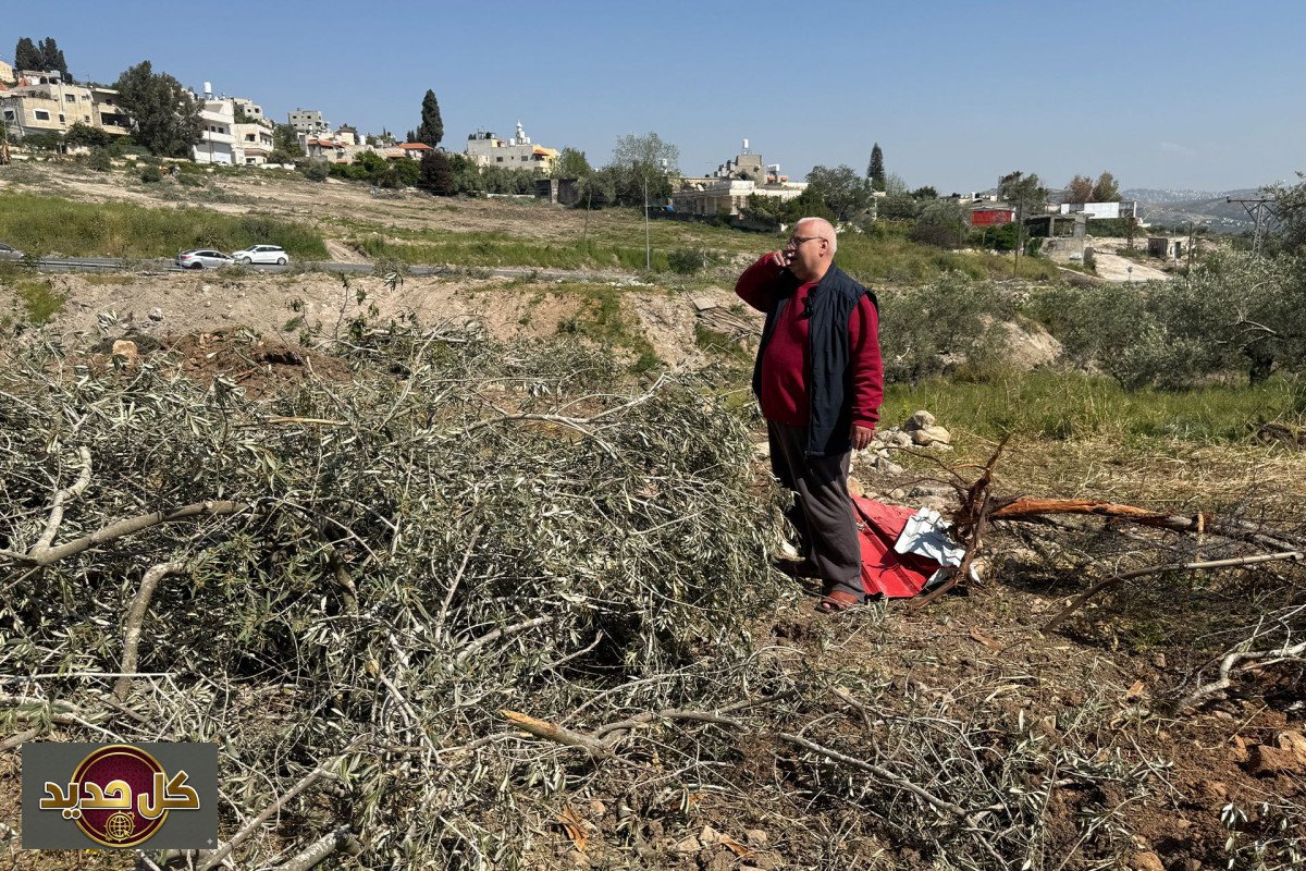 استهداف أشجار الضفة الغربية: تقرير يكشف ممارسات تجريد الأراضي الفلسطينية