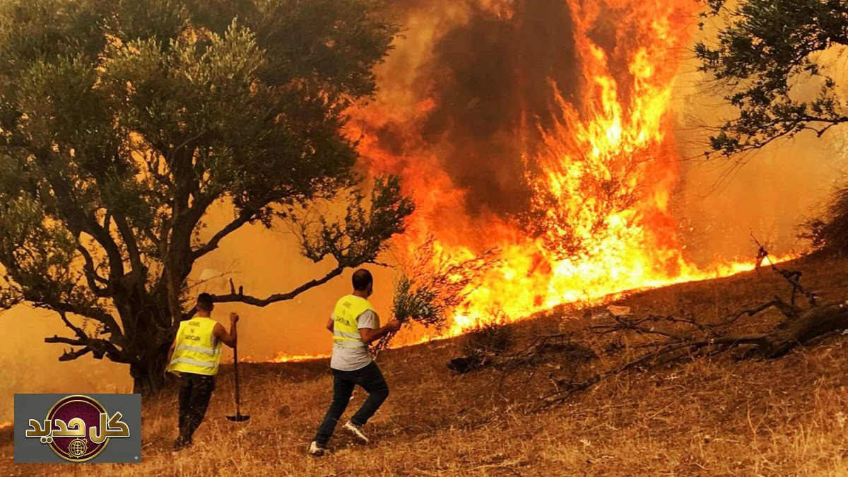 حرائق الجزائر: إخماد 90% والخسائر فادحة مع وصول المساعدات لجيجل