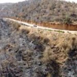 حرائق الجزائر: استراتيجية 'الجاهزية الاستباقية' لمواجهة الكارثة