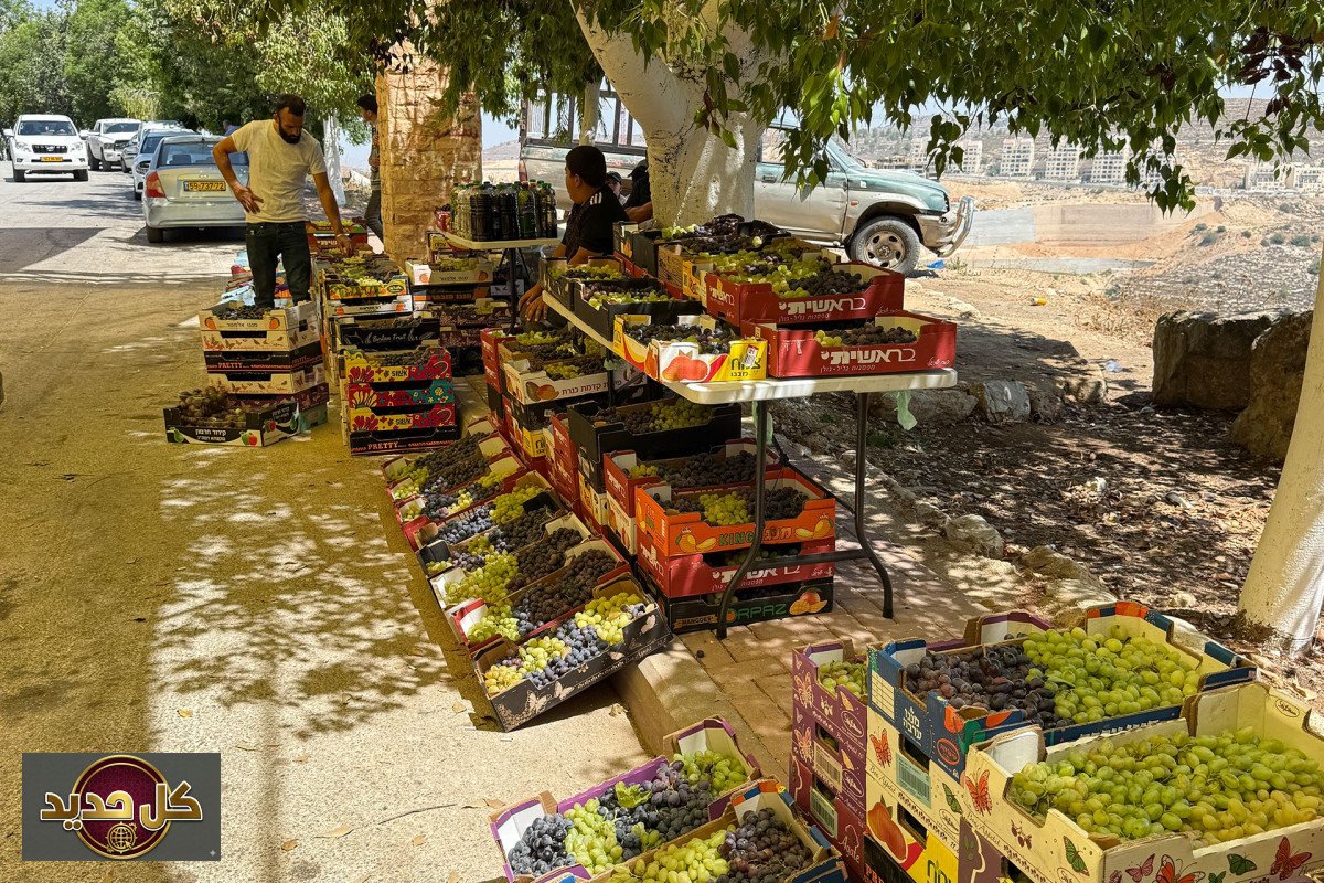 مهرجان العنب بيت دقو: صمود زراعي يعانق الأرض والتاريخ