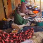 مجاعة دارفور: أزمة إنسانية خانقة تهدد حياة الملايين في السودان