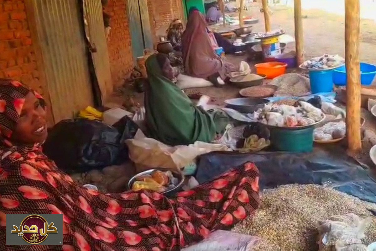 مجاعة دارفور: أزمة إنسانية خانقة تهدد حياة الملايين في السودان