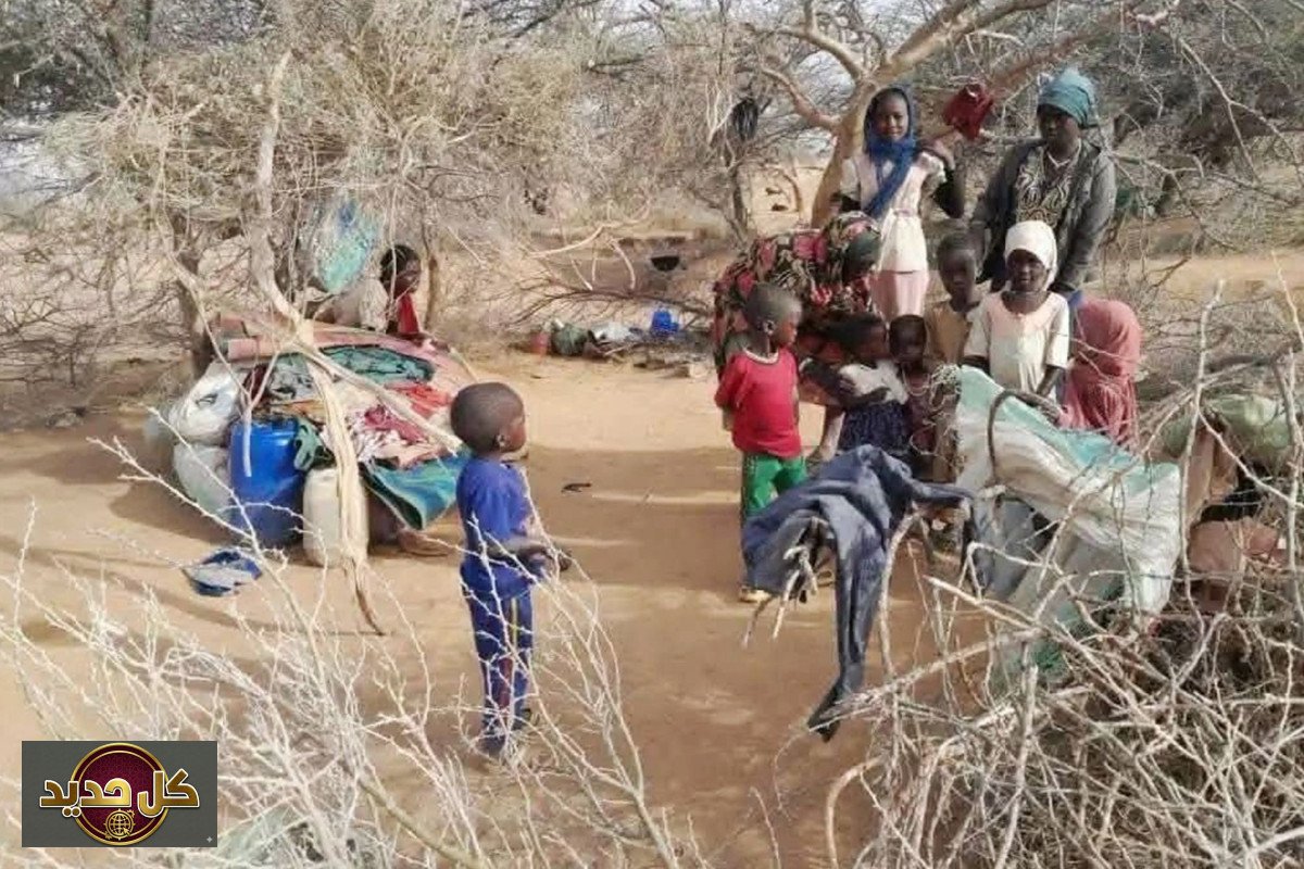 لاجئو دارفور تشاد: صراع البقاء بين لهيب الصحراء وجحيم الخيام