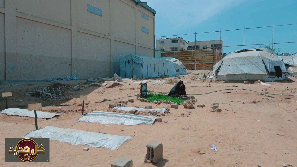 معاناة سكان غزة: البحث عن الذكريات بين الركام والخيام