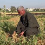 أزمة مياه الري تهدد الأمن الغذائي في ريف حمص رغم الاكتفاء الذاتي من القمح