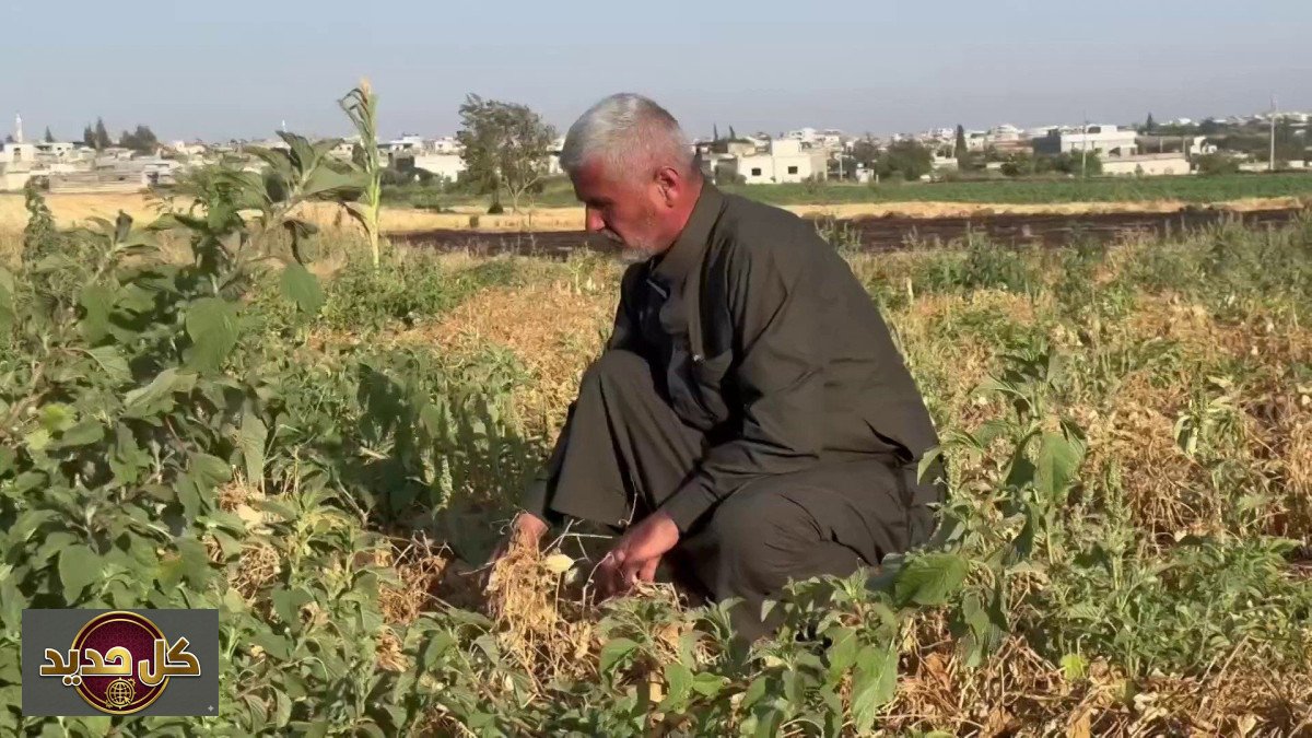 أزمة مياه الري تهدد الأمن الغذائي في ريف حمص رغم الاكتفاء الذاتي من القمح