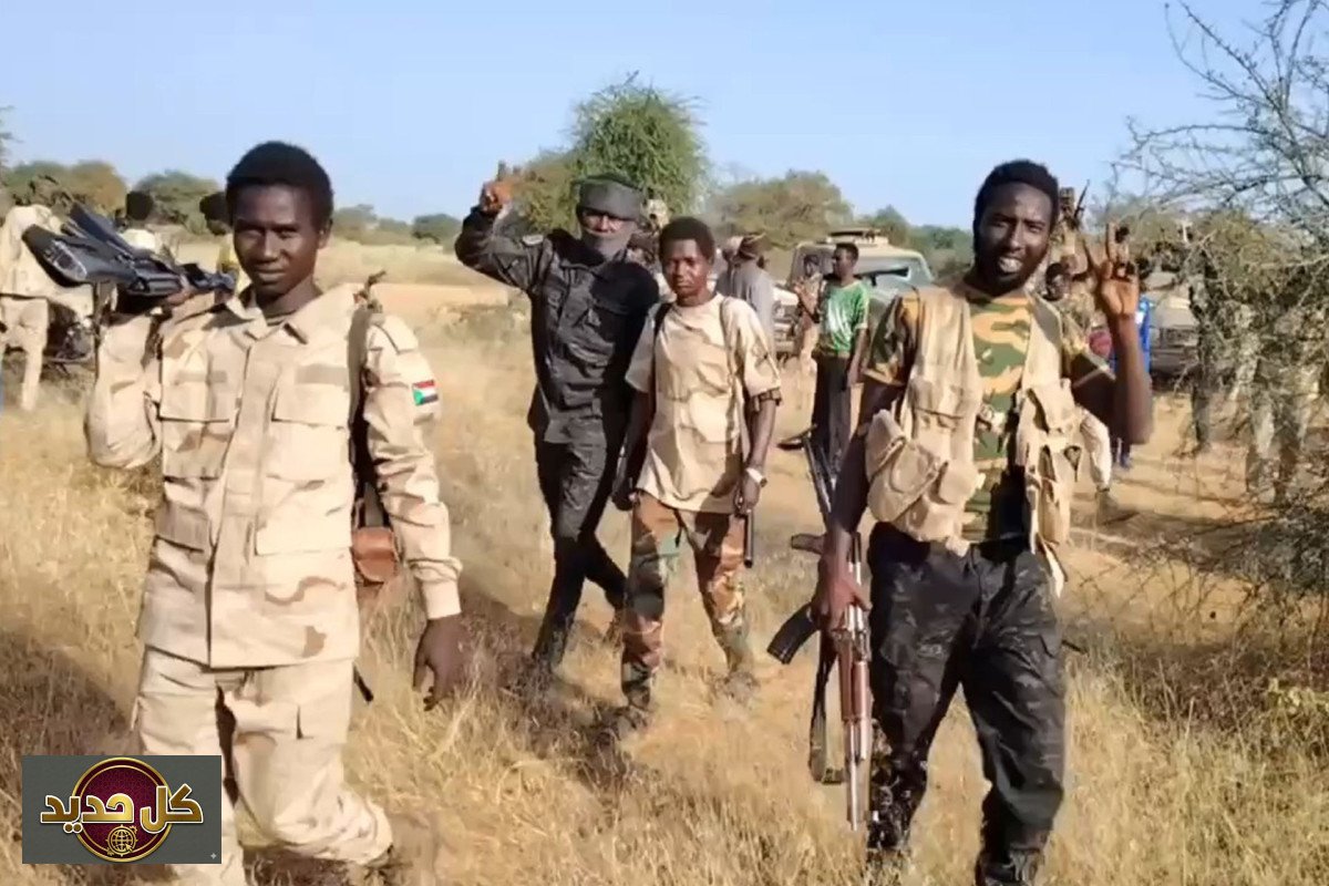 الصراع في السودان: لماذا يتقدم الدعم السريع في كردفان والنيل الأزرق؟